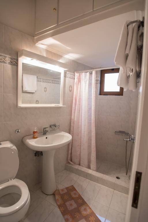 Artemis Hotel Karpenisi Bilik gambar