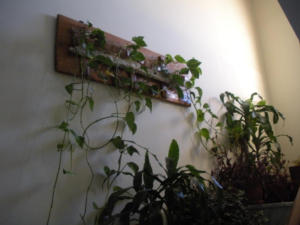 Artemis Hotel Karpenisi Luaran gambar