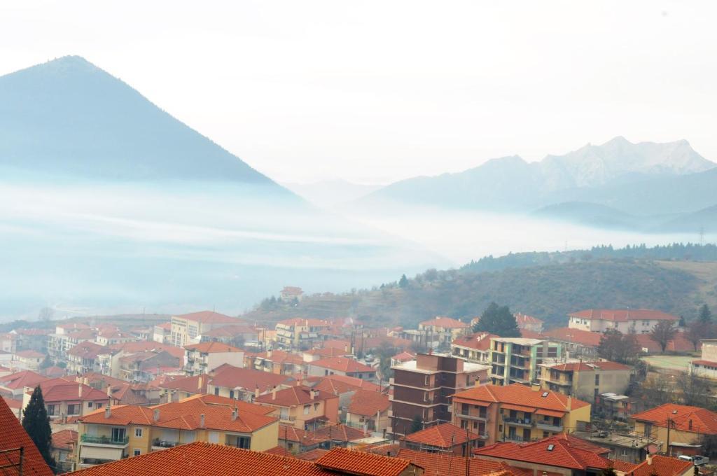 Artemis Hotel Karpenisi Bilik gambar
